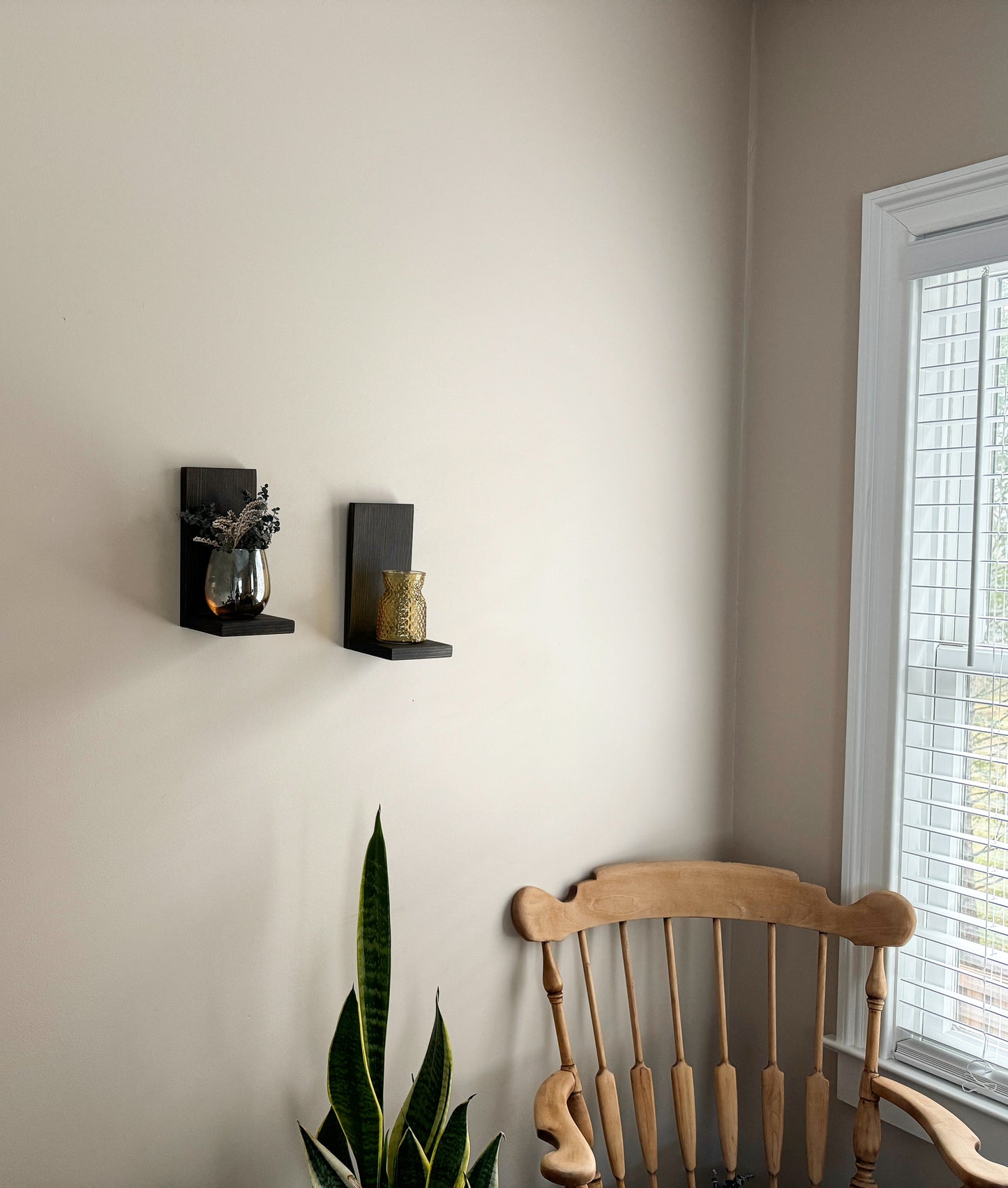 Small Wall Hanging Shelf | Small Plant Shelf
