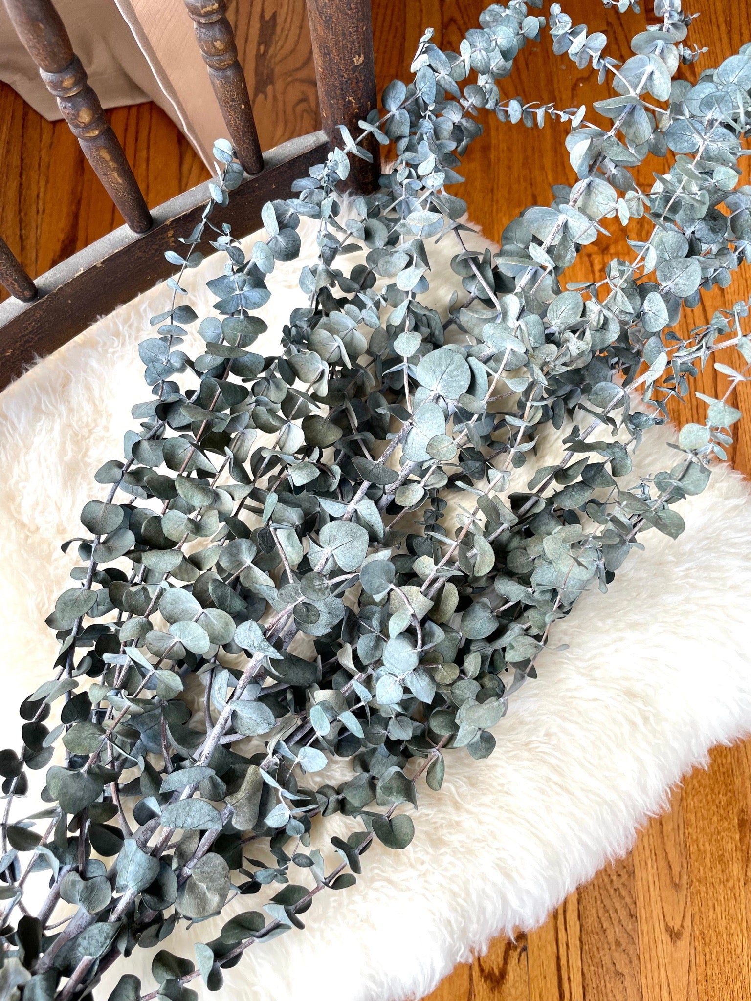 Preserved Real Eucalyptus Bunch for Decor