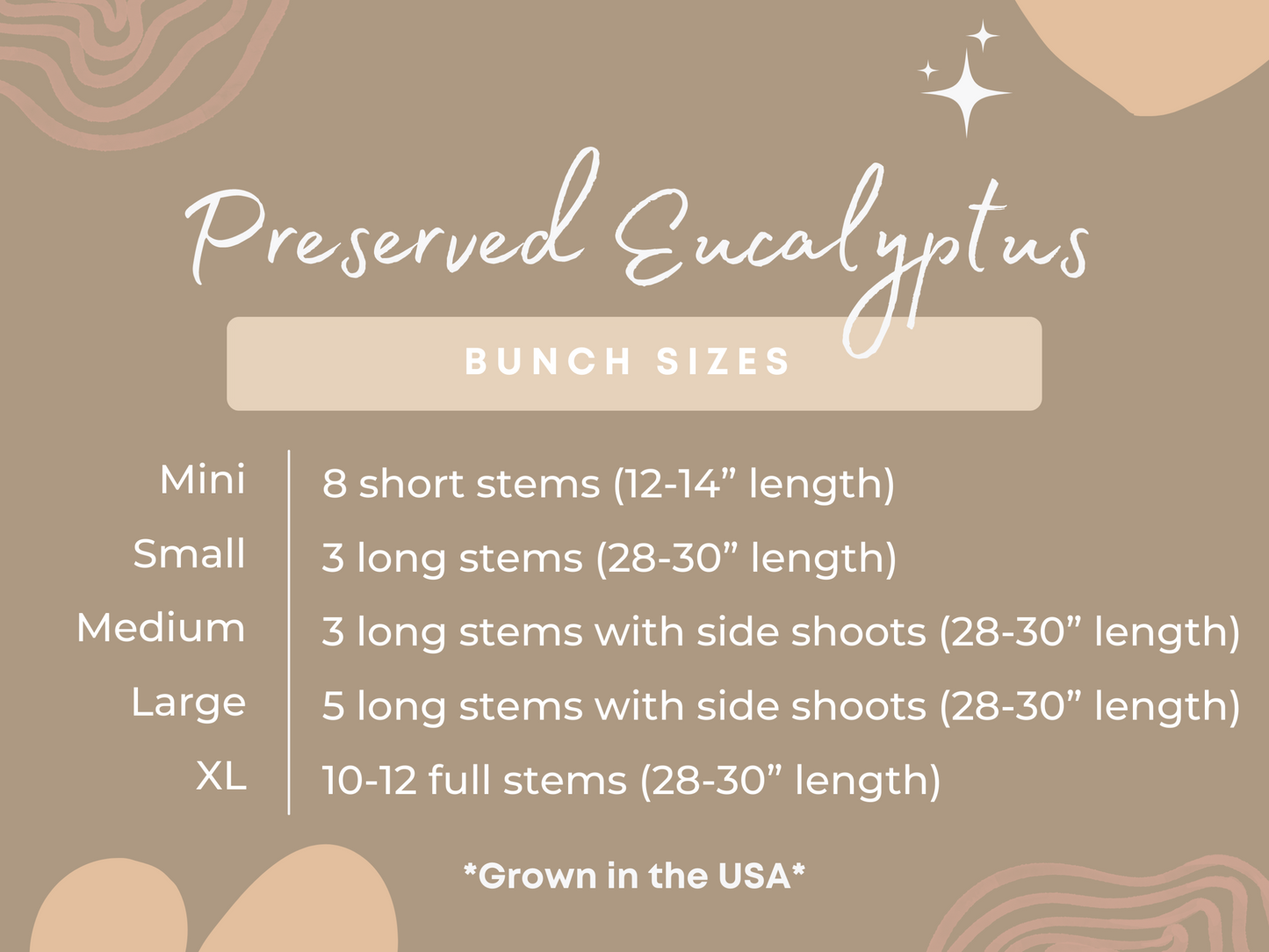 Preserved Eucalyptus Bunch Size Options